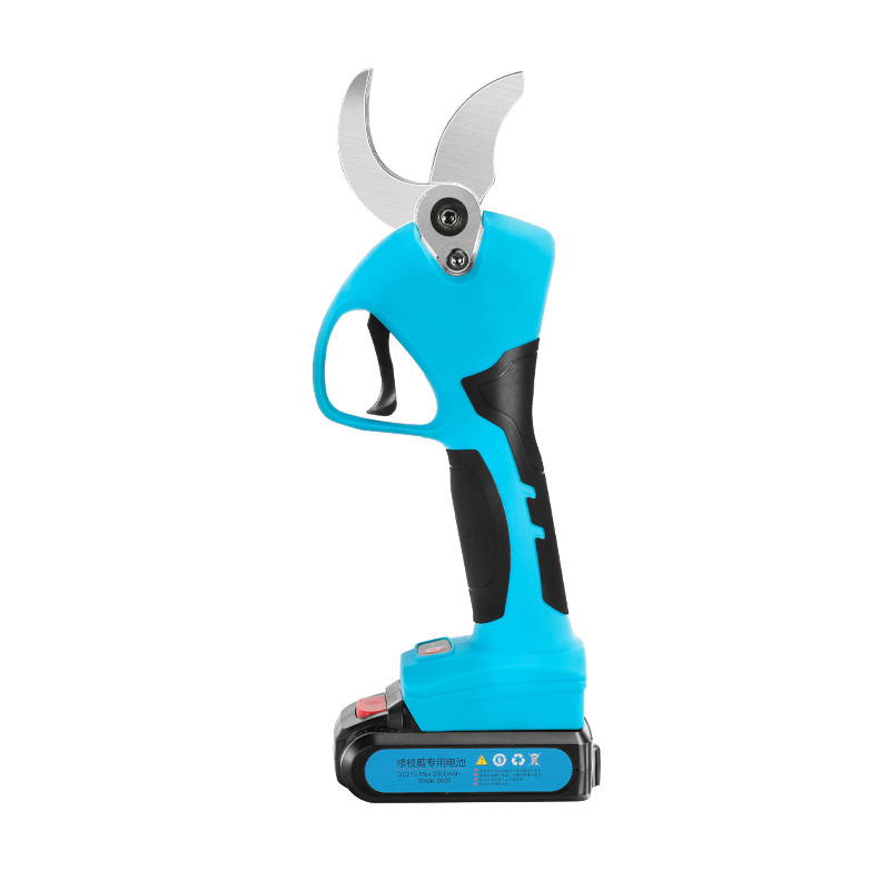 21V Cordless Lithium-ion Progr - Bonsai Garden Dc review and price
