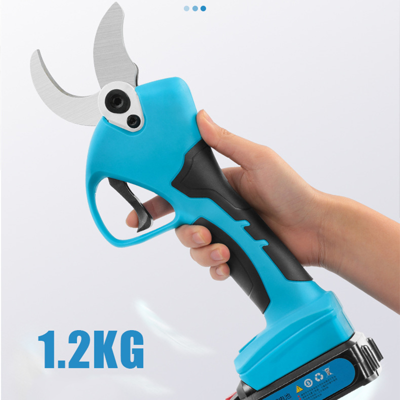21V Cordless Lithium-ion Progr - Bonsai Garden Dc review and price